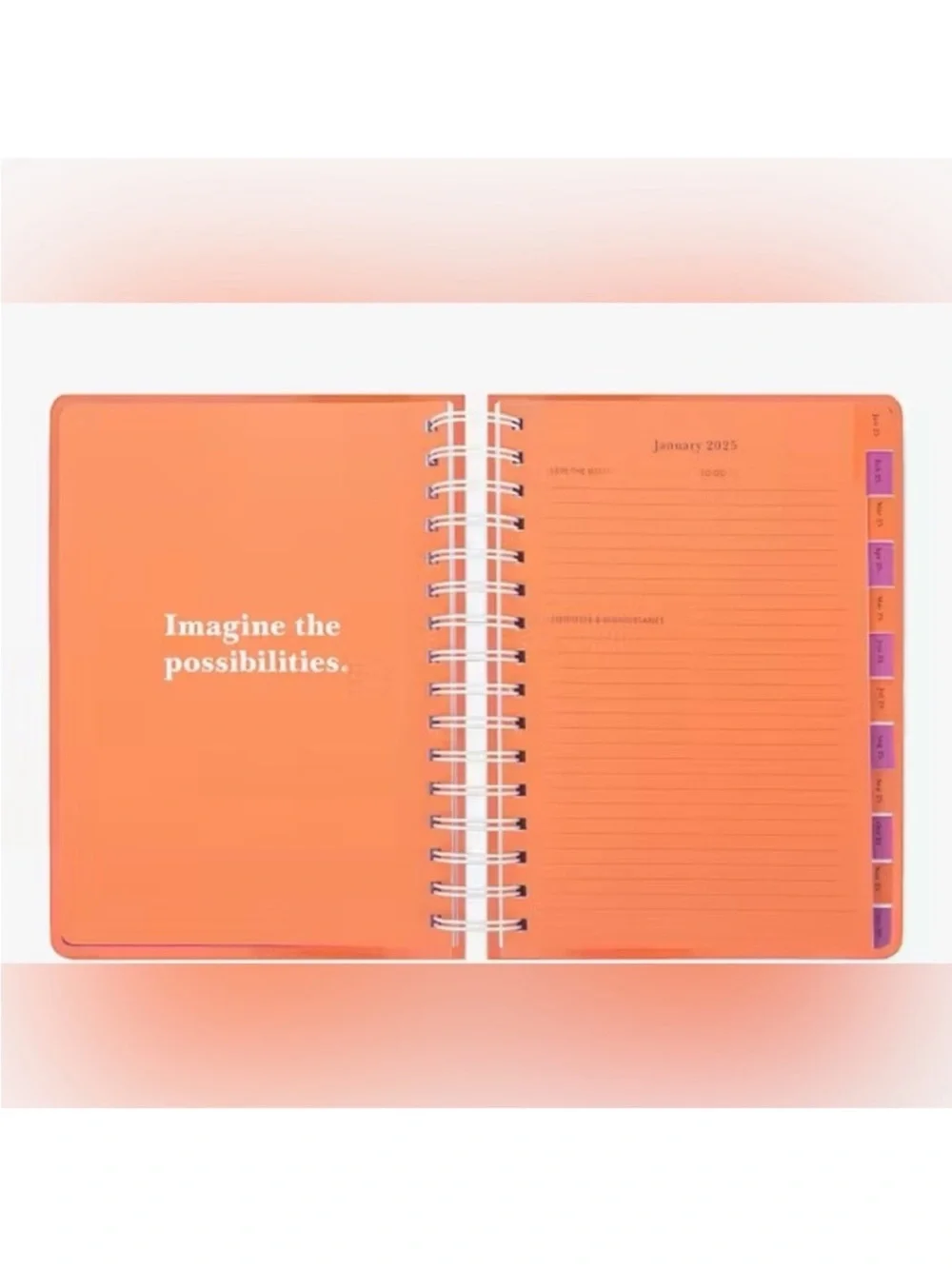 Kate Spade It's Your Lucky Day 2024-25 17-month Large Planner # K240242